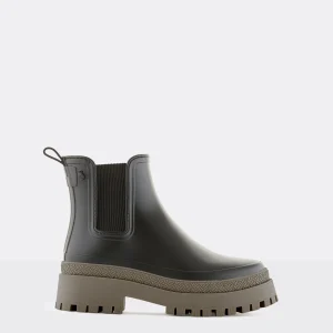 Lemon Jelly Botas Forma Larga^Everly 03