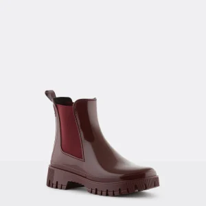 Lemon Jelly Botas Forma Larga^Peachy 04